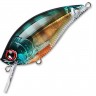 Воблер YO-ZURI 3DB SQUARELIP SHALLOW 70F R1105-PBG